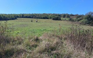 Teren | 3.600 mp | Ariușd | Lângă Olt | 25 km de Brașov - Poză 2
