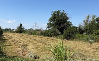 Teren intravilan 4.000 mp Comana (Budeni) | 10 €/mp negociabil | Comis - Poză 4