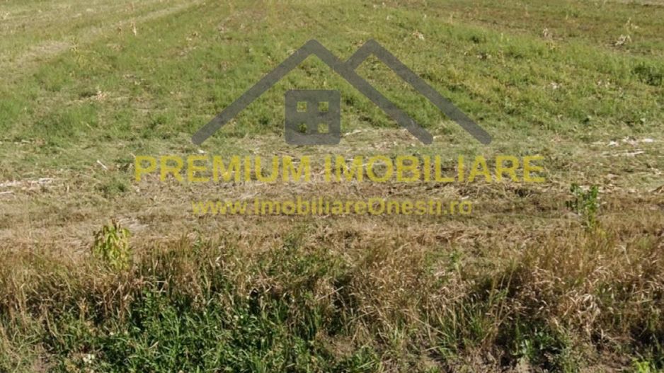 Teren 7.400 mp, deschidere 40 m la DN11, Târgu Trotuș - Poză 2