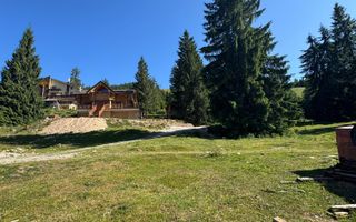 Teren intravilan 250 mp, Arieseni - Partie Ski - Poză 4