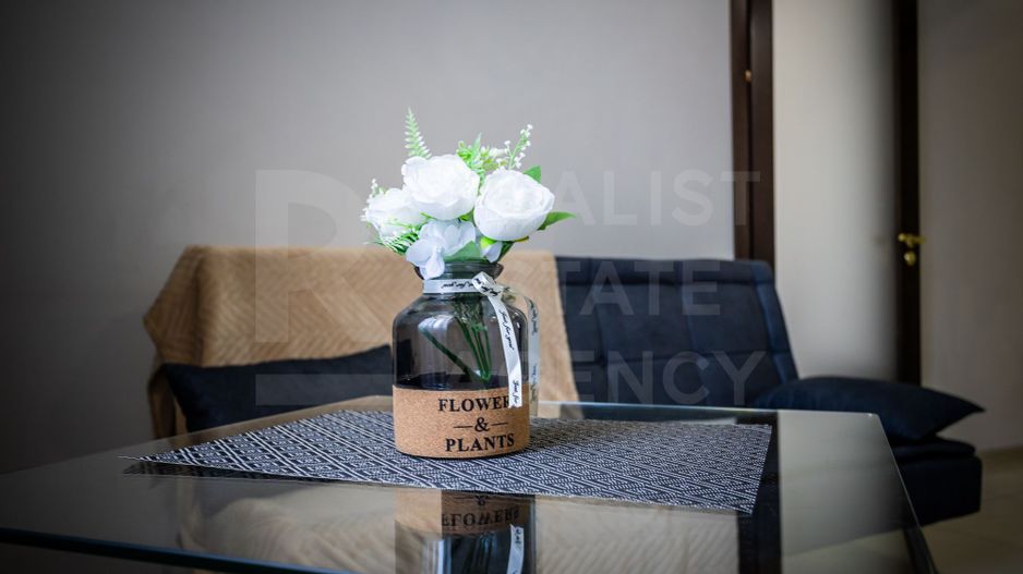 Chirie, apartament, 2 camere, bd. Ştefan cel Mare şi Sfînt, Centru - Poză 17