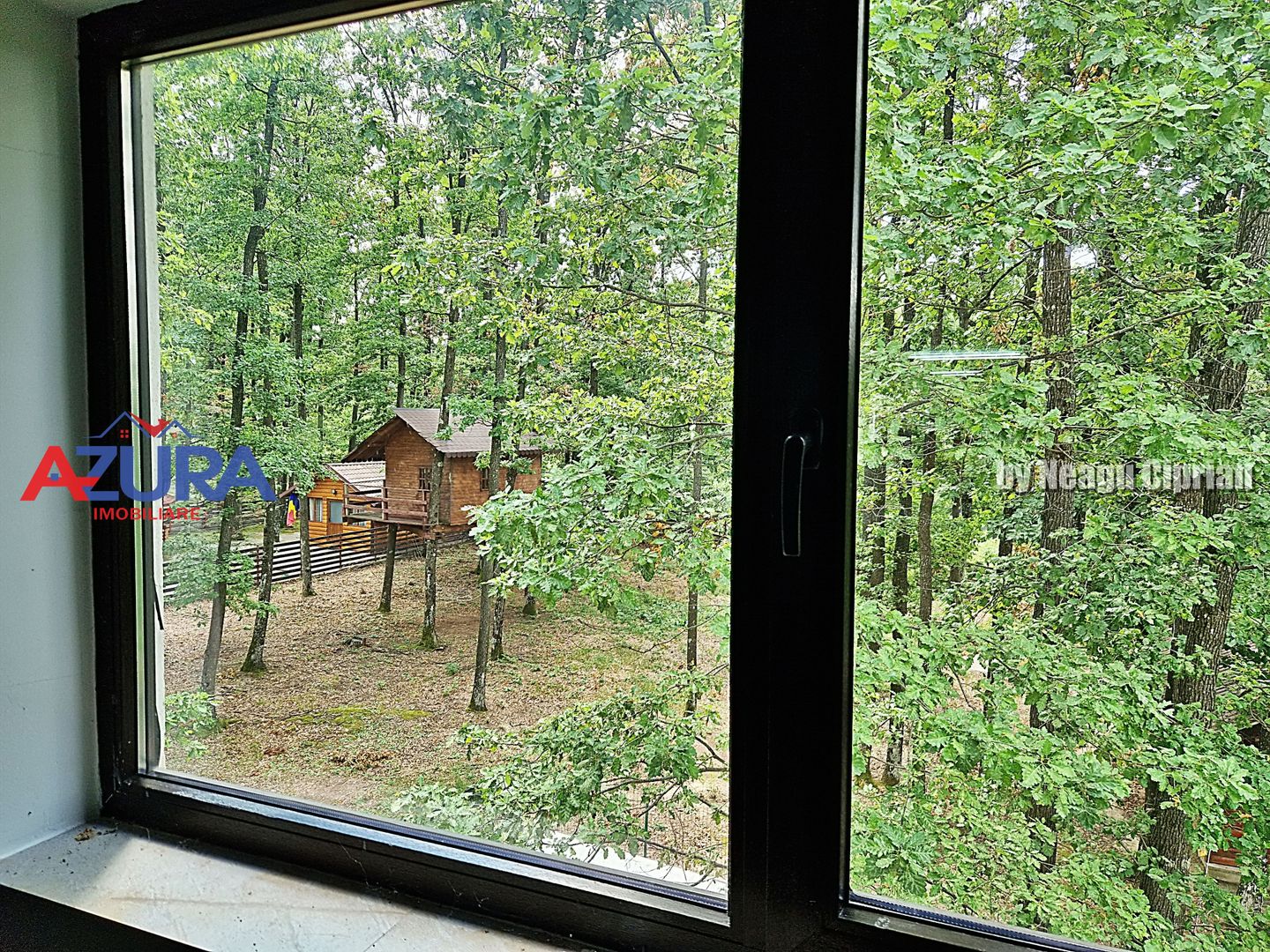 Casă de vacanță în pădure, 10 km de Pitești - Babana - Poză 10