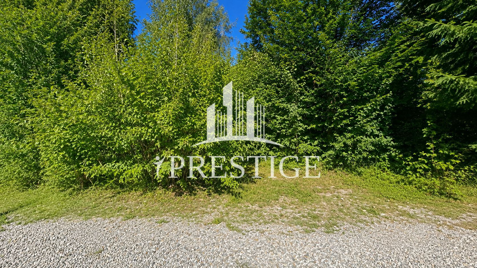 TEREN INTRAVILAN 744 MP | VALEA AVRIGULUI | IDEAL PENTRU CABANĂ - Poză 17