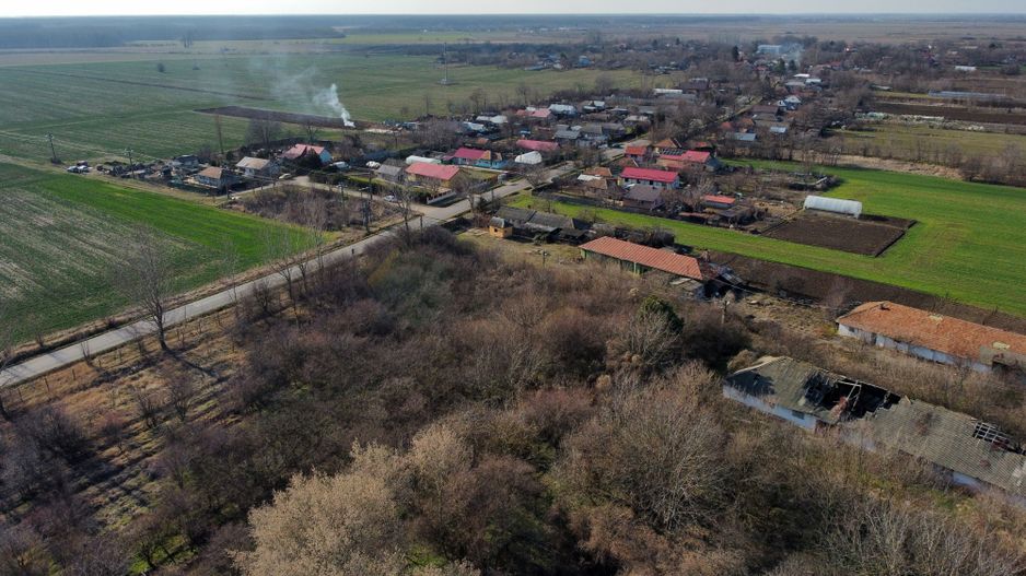 Ferma si livada de meri in judetul Ilfov - Poză 8