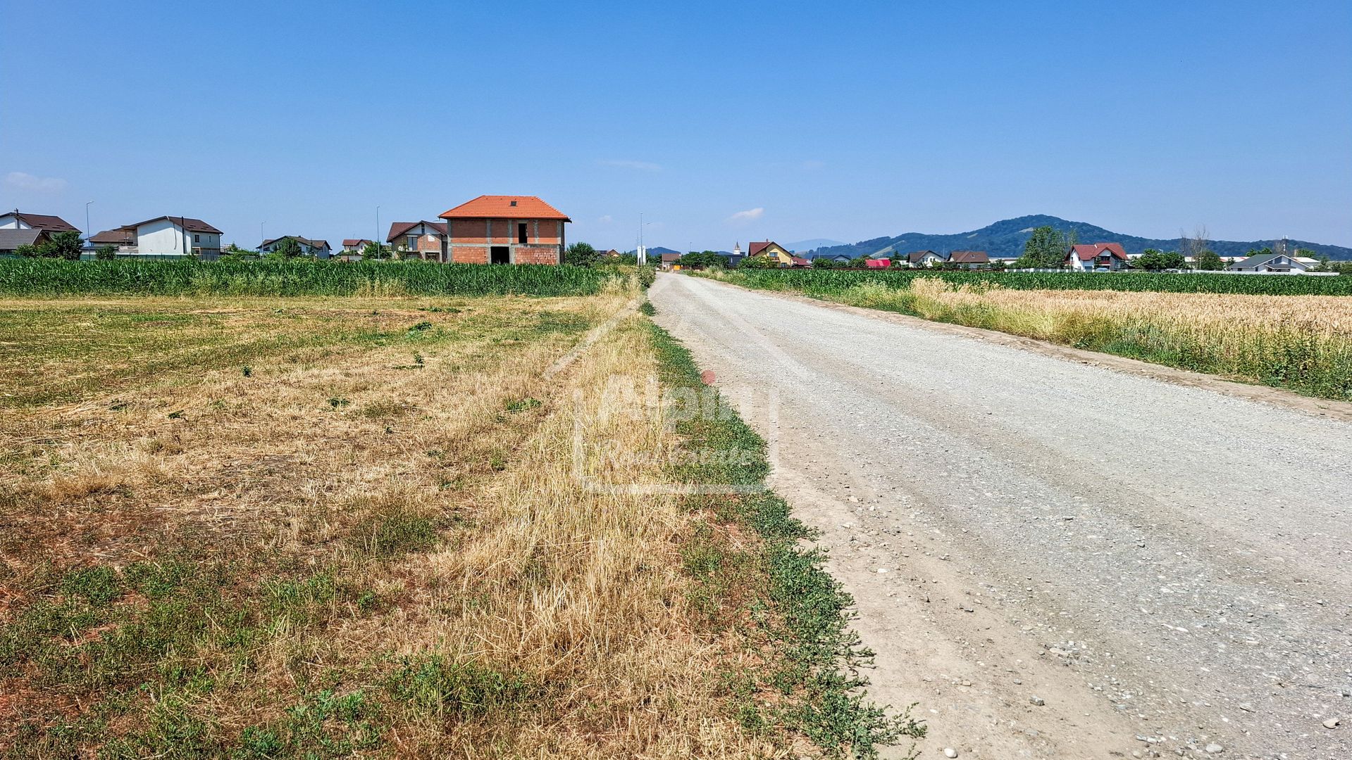 Terenuri Intravilane  Harman - Poză 8