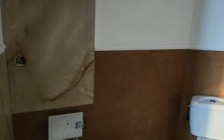 Corp de casa P+M 4 camere , ASTRA - Carpatilor -LIDL- ,curte comuna. - Poză 27