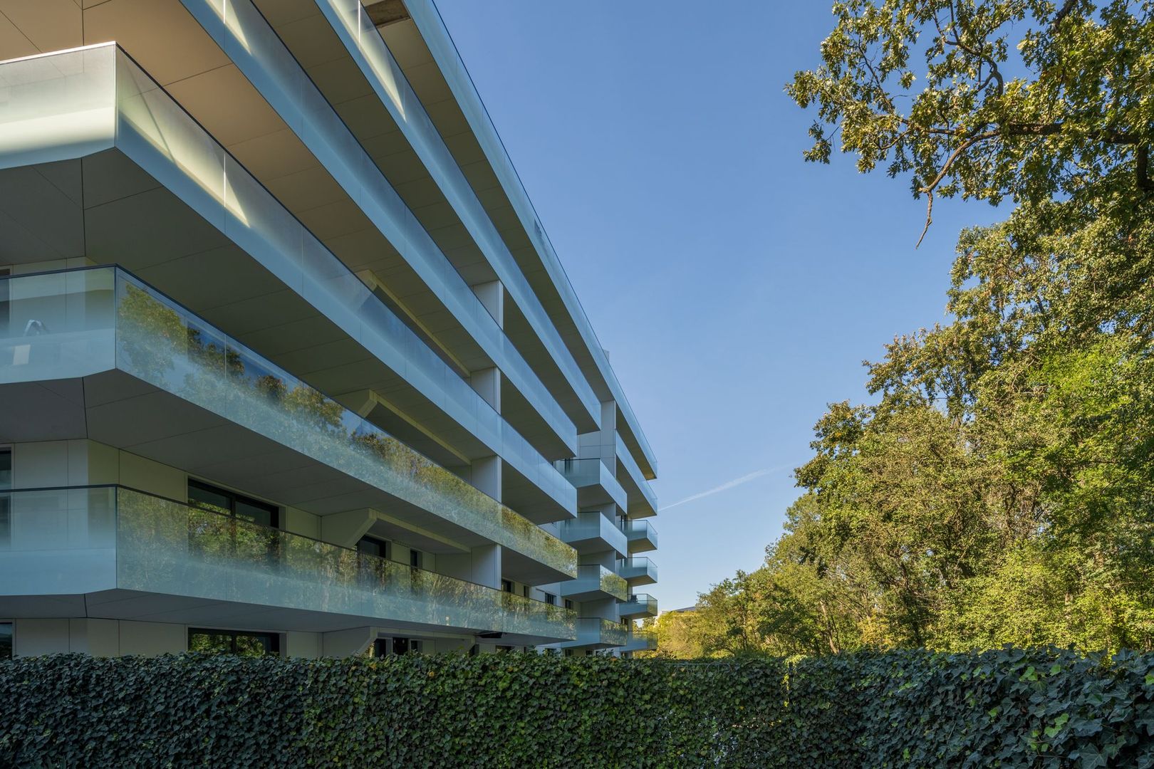 Pines Residence - Poză 38