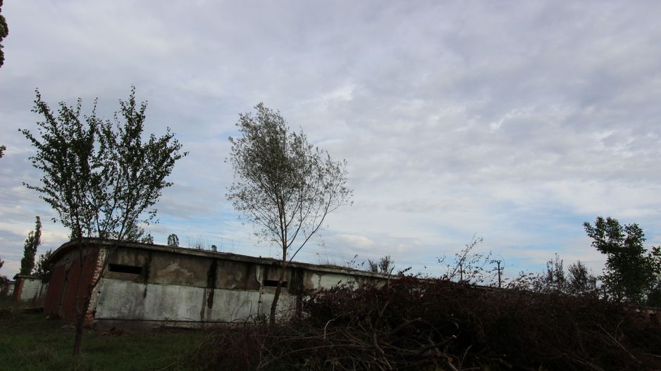 Vanzare hale Mosnita Noua-fosta Ferma 7 - Poză 15