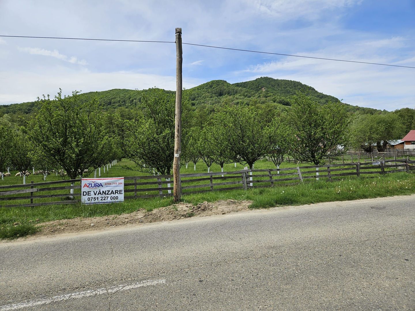 Vanzare teren zona munte, Corbi - Poză 5