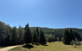 SUPER OCAZIE  - Teren intravilan, COMANDAU-PUZ case de vacanta. - Poză 8