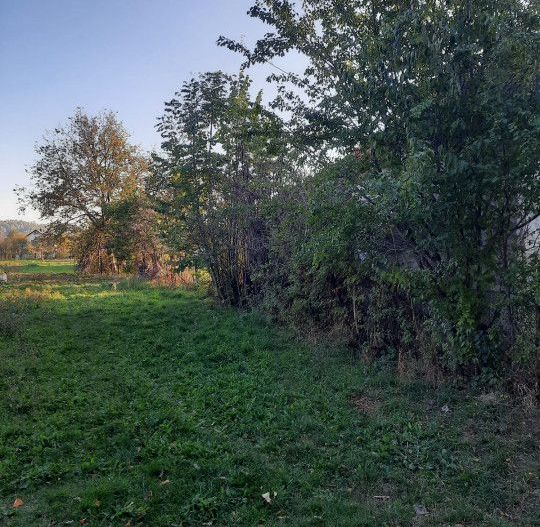 Teren Intravilan, 1500 m2, plat, zona rezidentiala, Campina, Prahova - Poză 1