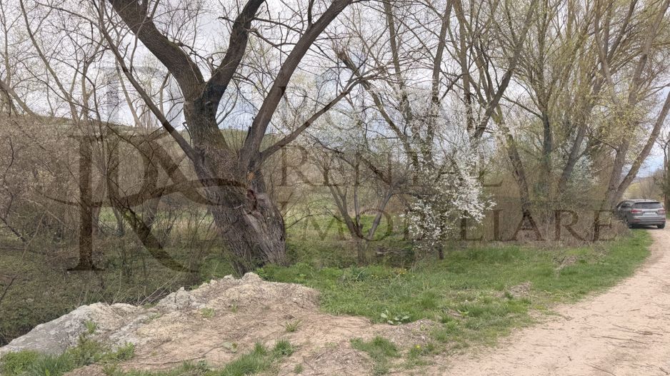 Comision 0! | Casă + teren generos | 2600 m² | Oportunitate unică - Faureni - Poză 21