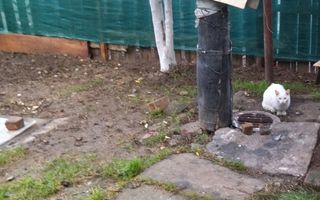 Casă Tătărași excepțional situată! - Poză 2