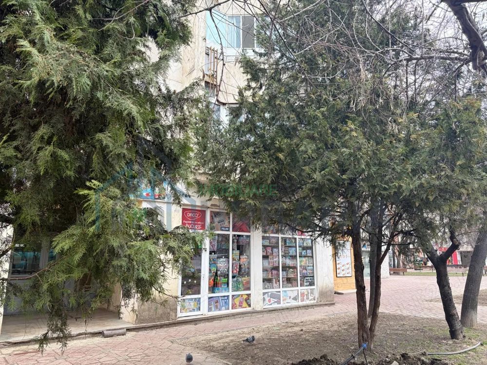 Spațiu comercial de închiriat, 28 mp, Parcul Esplanada Nicolina, Iași - Poză 1