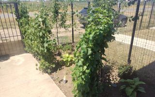 Vila tip Duplex P+1+M, curte / Otopeni-Tunari / Comision 0% - Poză 2