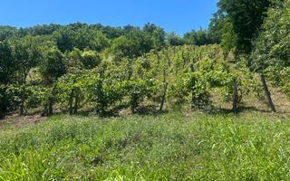 Teren intravilan de vânzare – Andrașești - Poză 4