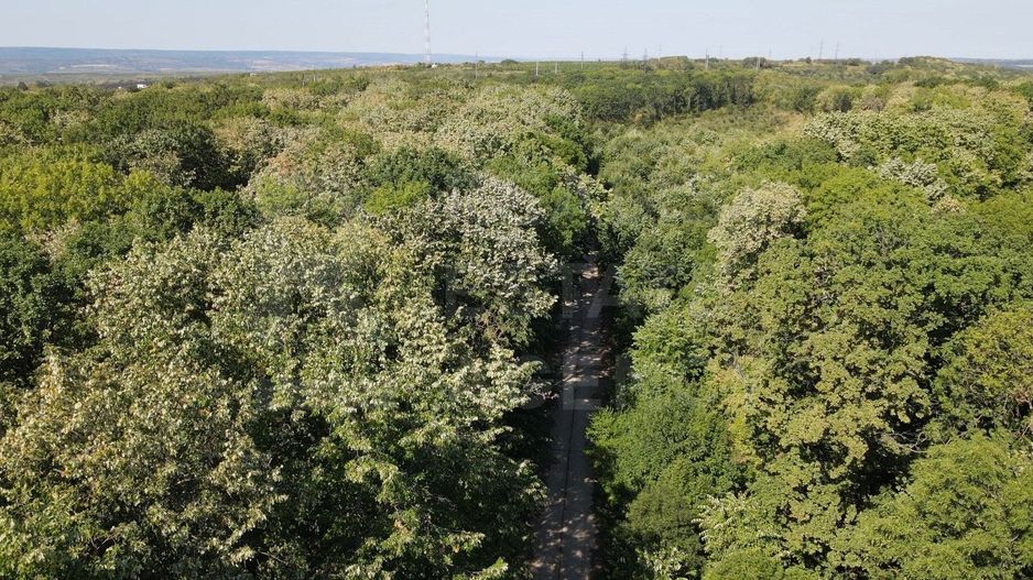 Vânzare, teren pentru construcție, 9.21 ha, Micăuți, Sireț - Poză 5