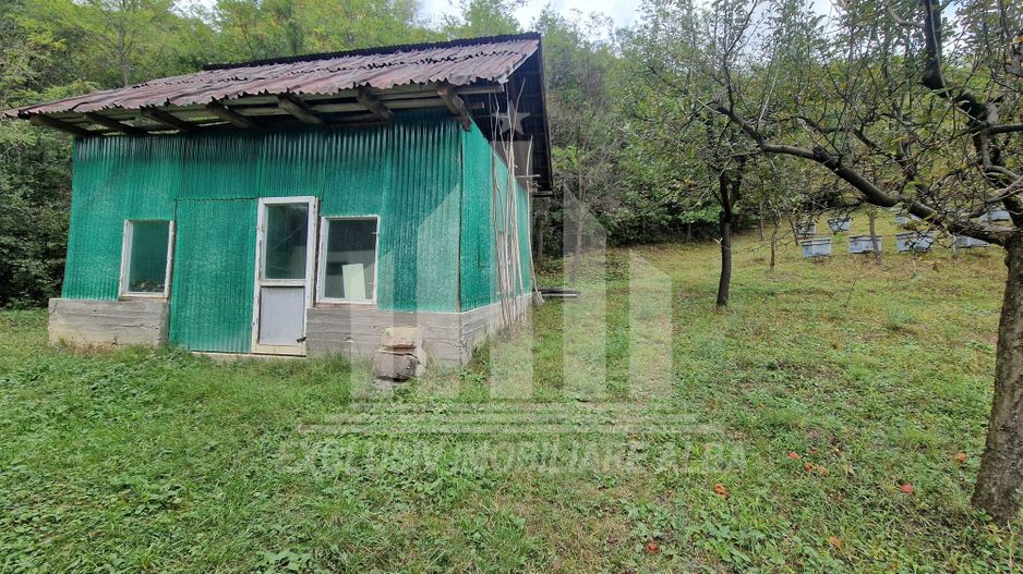 Casa cu livada in Cetea - Poză 23