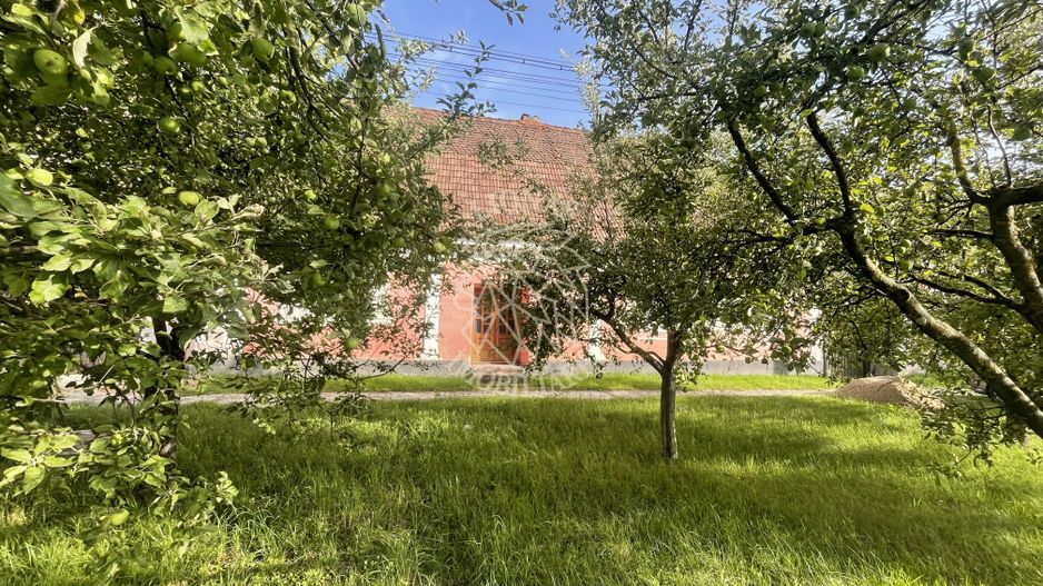 OFERTA! Casa saseasca 3 camere 105 mp-investitie-Livezile - Poză 4