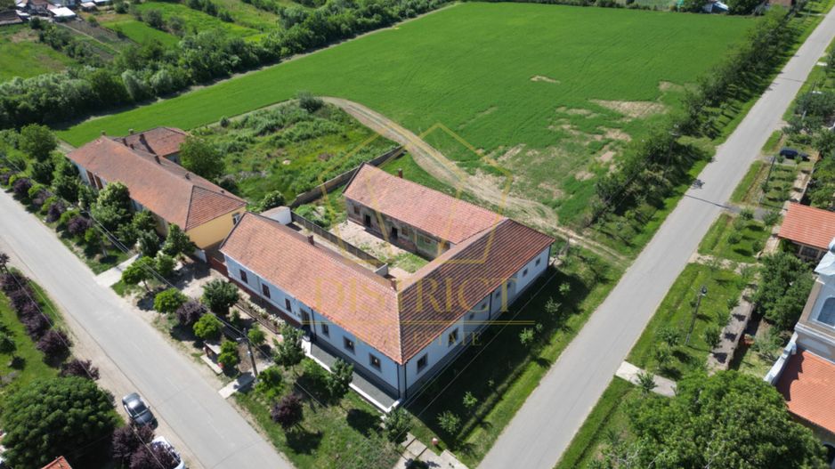 Casa cu istorie in Petrovaselo - Poză 14
