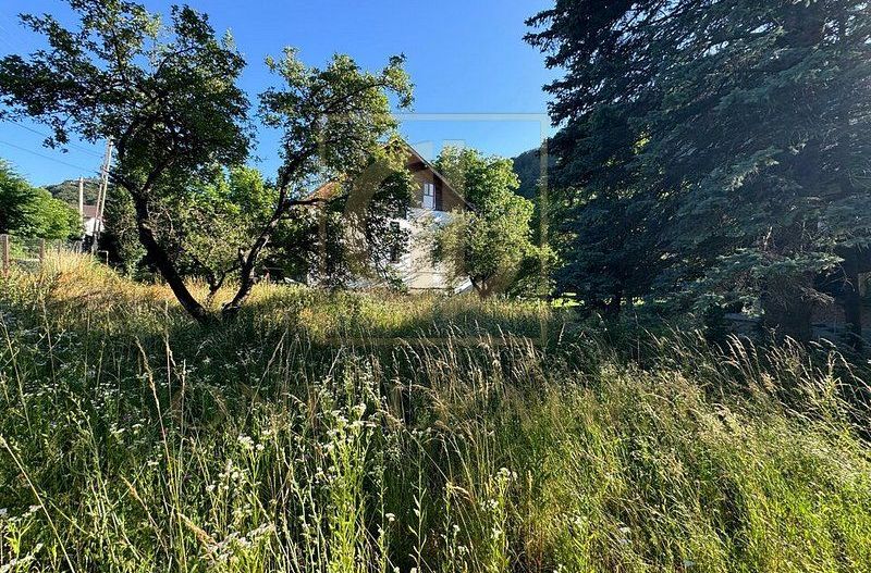 Teren Intravilan 555 mp de Vânzare Bran – Central | 23.28 m Deschidere Stradala - Poză 3