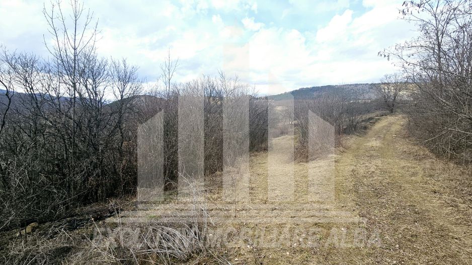 Teren intravilan de vanzare, Geogiu de Sus - Poză 6