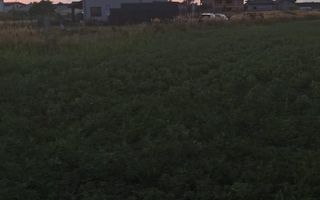 Teren Branesti - Strada Noua - Poză 8