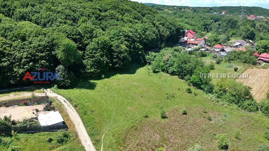 Vanzare teren 904 mp, Bascov, langa padure - Poză 10