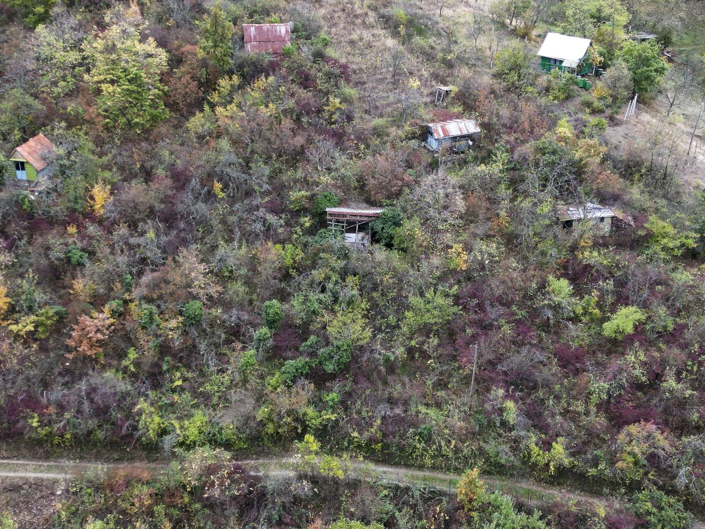 Teren 18,300mp Ghioroc - Poză 11