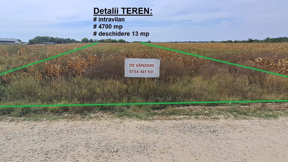 Palanca - Floresti - Stoenesti, Jud. Giurgiu, teren 4700 mp, utilitati - Poză 6