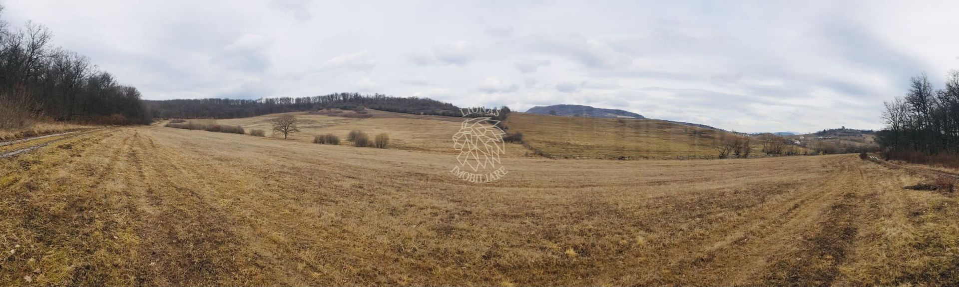 Teren 104,731 mp-Parcelabil-Vedere panoramica-Valea Castailor - Poză 2