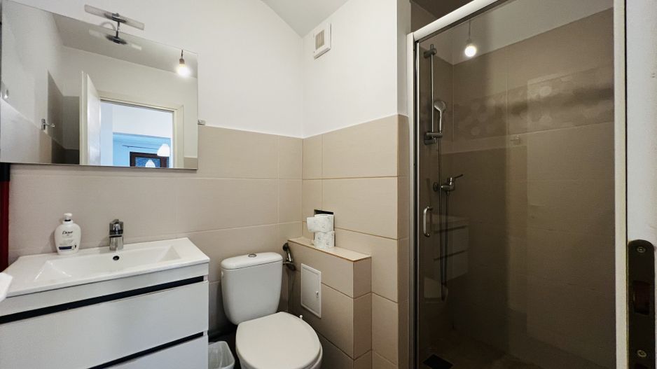 Apartament 2 camere complet mobilat langa Iulius Mall - Poză 8