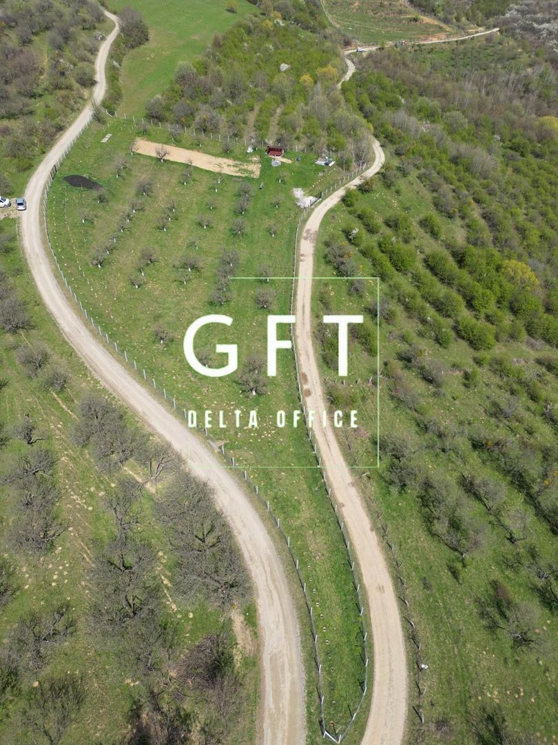 Teren 4850 mp - EXTRAVILAN - Slatinita - Poză 2