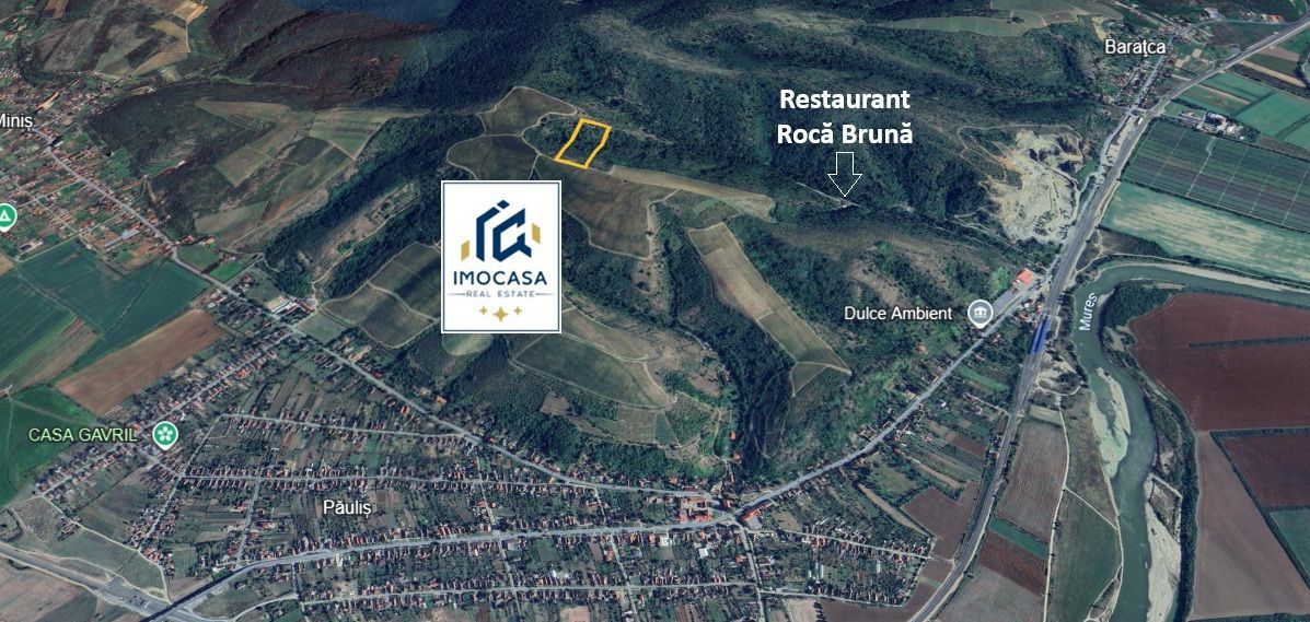 De Vanzare Teren extravilan 6722 mp Păuliș – zona Roca Bruna, Arad - Poză 3