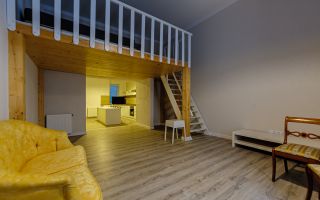 Apartament de închiriat tip loft - Poză 3