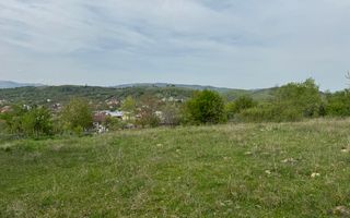 TEREN INTRAVILAN, 7472 MP, VALEA MARE PRAVAT, ARGES - Poză 15