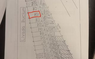 Vând teren Extravilan Bucium - Poză 2