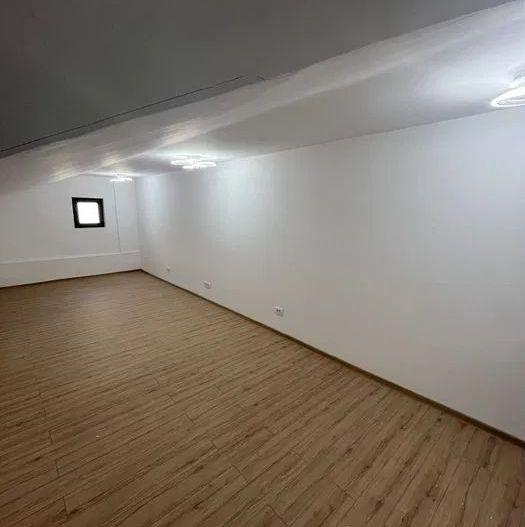 Tineretului | 5 camere | Vila | Spatiul Birouri Firme | Curte | Tineretului - Poză 8