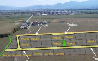 Loturi de Teren | Sanpetru | Drumu Cu Plopi | PUZ | 500mp - Poză 1