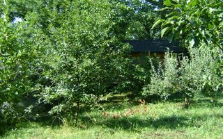 Teren de vânzare în Breaza– zonă liniștită, ideal pentru relaxare - Poză 17