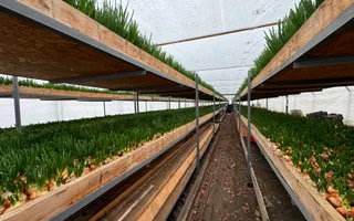 Investiție agricolă, Anenii Noi - Poză 18