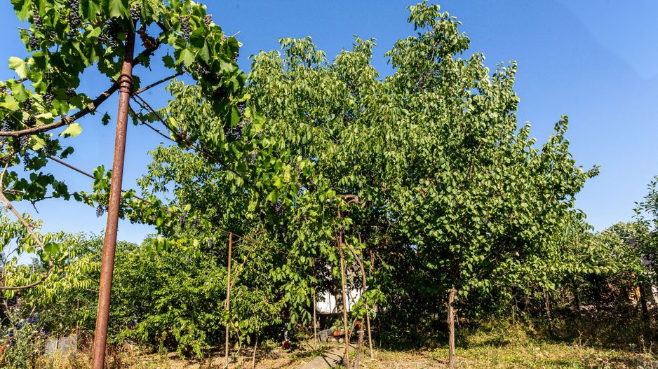 Oportunitate! Casă individuală în Pârneava. - Poză 9