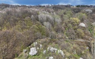 Teren intravilan 4.654 mp, 4 loturi comasate – Cornu de Jos - Poză 2