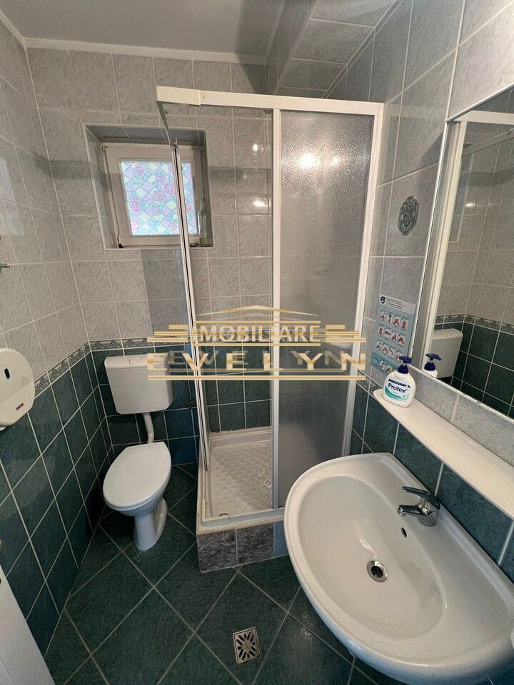 Cladire Comerciala-inchiriere/vanzare, Zona Bld. Mihai Eminescu, Pret 1000 euro - Poză 15