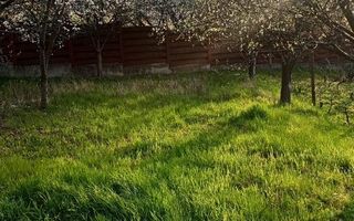 Teren de 2000 mp cu casă în Bucium Pietrarie, Iași – 3 camere, 2 băi, garaj - Poză 6