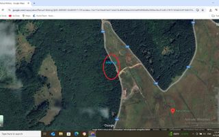 Vanzare teren 5000 mp Transfagarasan - Molivis - Poză 5
