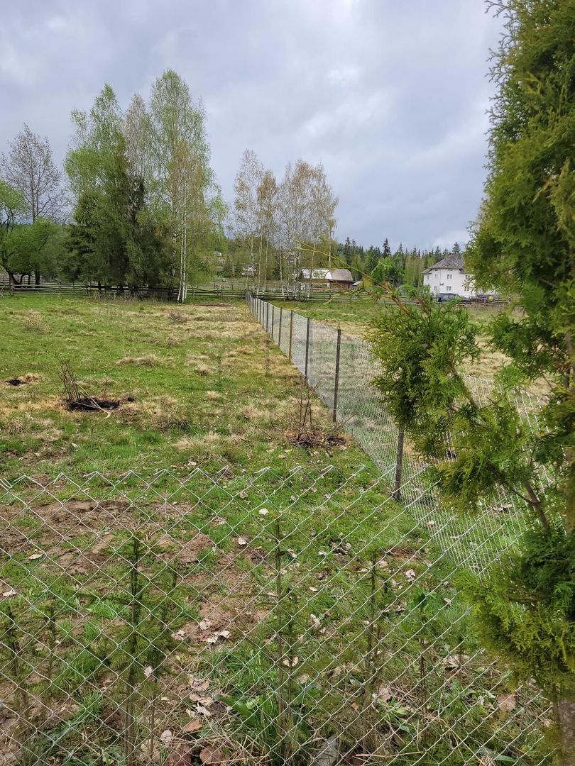 Teren Saru Dornei / Neagra Sarului - oportunitate investitie - Poză 2