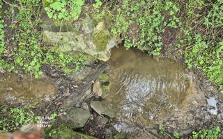 Casa de vacanta Baratca, comuna Paulis - Poză 7