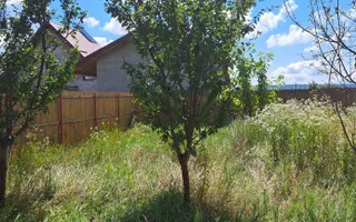 VILA 4 CAMERE, TEREN 787 MP, PISCANI, ARGES - Poză 15