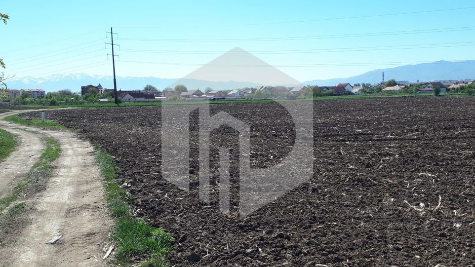 Teren de Vanzare - Extravilan - 23.300mp - Gusterita - 0% Comision - Poză 1